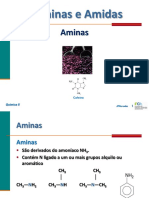 Aminas_Amidas_QA2012.pdf