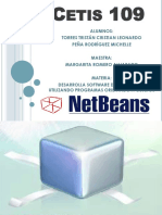 Presentacion Netbeans 