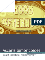 Ascaris Lumbricoides: Giant Intestinal Roundworm