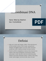 Mutasi DNA