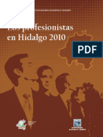 PROFESIONISTAS EN HIDALGO 2010