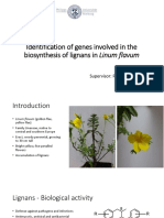 Identification of Genes Involved in The Biosynthesis of Lignans in Linum Flavum