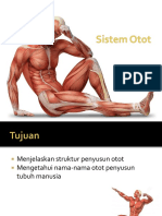 Sistem Otot