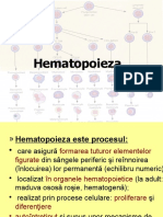 Hematopoieza1