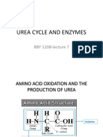 Biochemistry I_lecture6UREA CYCLE and ENZYMES-lecture7-4-1