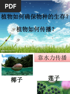 植物如何确保物种生存 Pdf