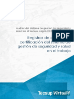 REGISTRO DE AUDITORES.pdf