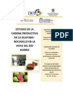 EJEMPLO 80296639-Estudio-de-la-Cadena-Productiva-de-la-Guayaba-Bocadillo-en-la-Hoya-del-Rio-Suarez-Santander.pdf