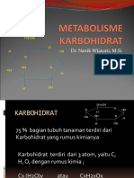Metabolisme-Karbohidrat 2