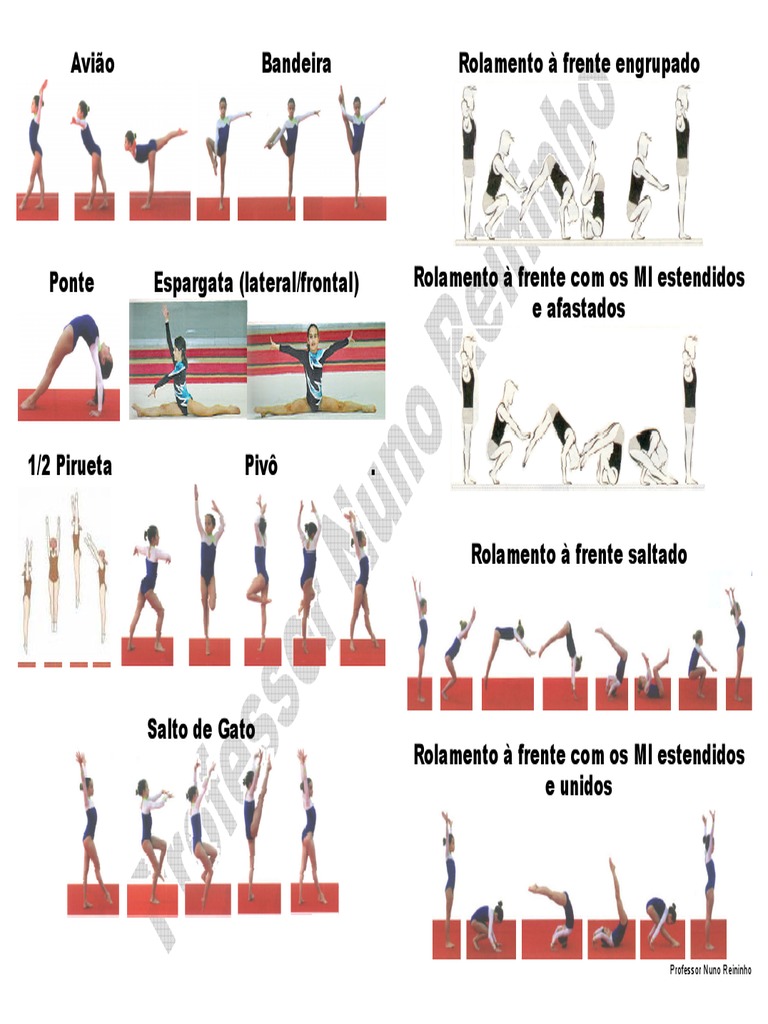 Movimentos De Ginastica De Solo TÉCNICAS BÁSICAS DE SOLO