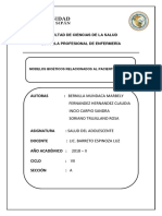 Modelos Bioeticos