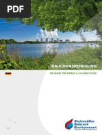 Rauchgas reinigung