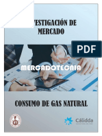 Investigación de mercado del consumo de gas natural cálida.docx