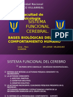  Sistema Funcional Del Cerebro