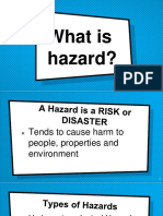 What Is Hazard?
