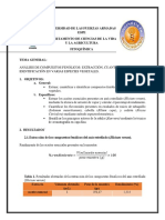 Informe