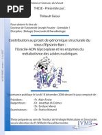 Download Epstein Barr Virus Structural Biology GEOUI by Thibault Geoui SN39525245 doc pdf