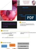 Trauma Renal 