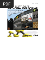 ActivityReport IMM2004