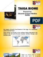 Taiga Biome