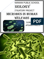 Biology Investigatory Project