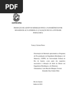 2010 MSc PEMM Yemcy Calcina Flores