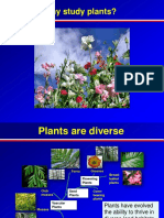 Why we study plants