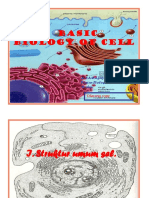 Basic Biology of Cell: Dr. Kamajaya, MSC, Spand. Bagian Biologi Fk-Umi Medan