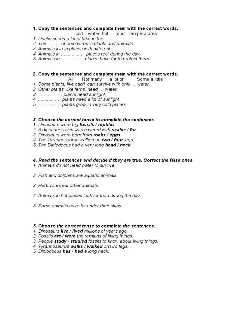 Copy The Sentences and Complete Them With The Correct Words PDF Blood Artery