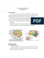 230125861 Laporan Pendahuluan Tumor Otak