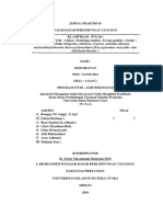 Jurnal Praktikum DDPT Ade Rivaldy Ginting Klasifikasi Gulma