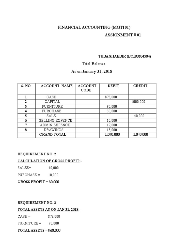 Financial Accounting (Mgt101) Assignment # 01: TUBA SHABBIR ...