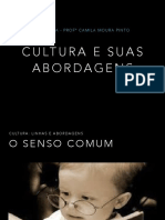 aula 1 - cultura