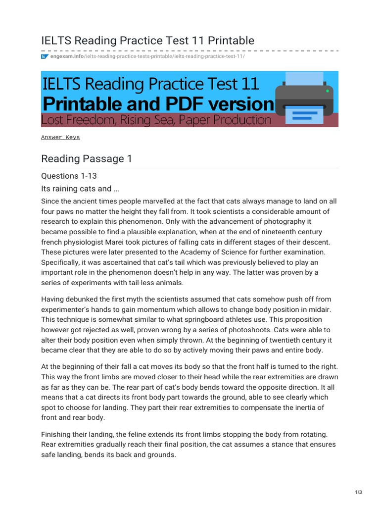 IELTS Reading Test 11: Cats' Falling Mechanics | PDF | Cats | Cognitive ...
