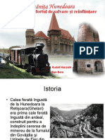 Mocăniţa Hunedoara - Istoria, Efortul de Salvare Şi Reconstrucţie