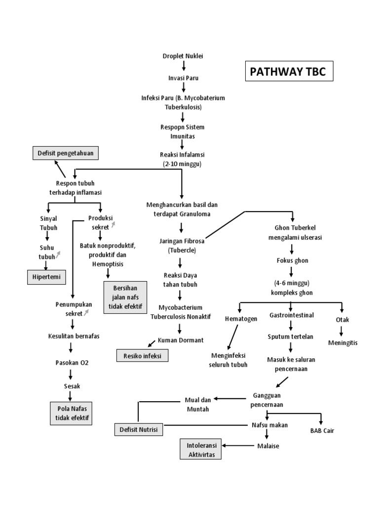 Pathway dan Patofisiologi TBC Anak | PDF