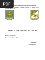 Personalitatea Profesorului Manager