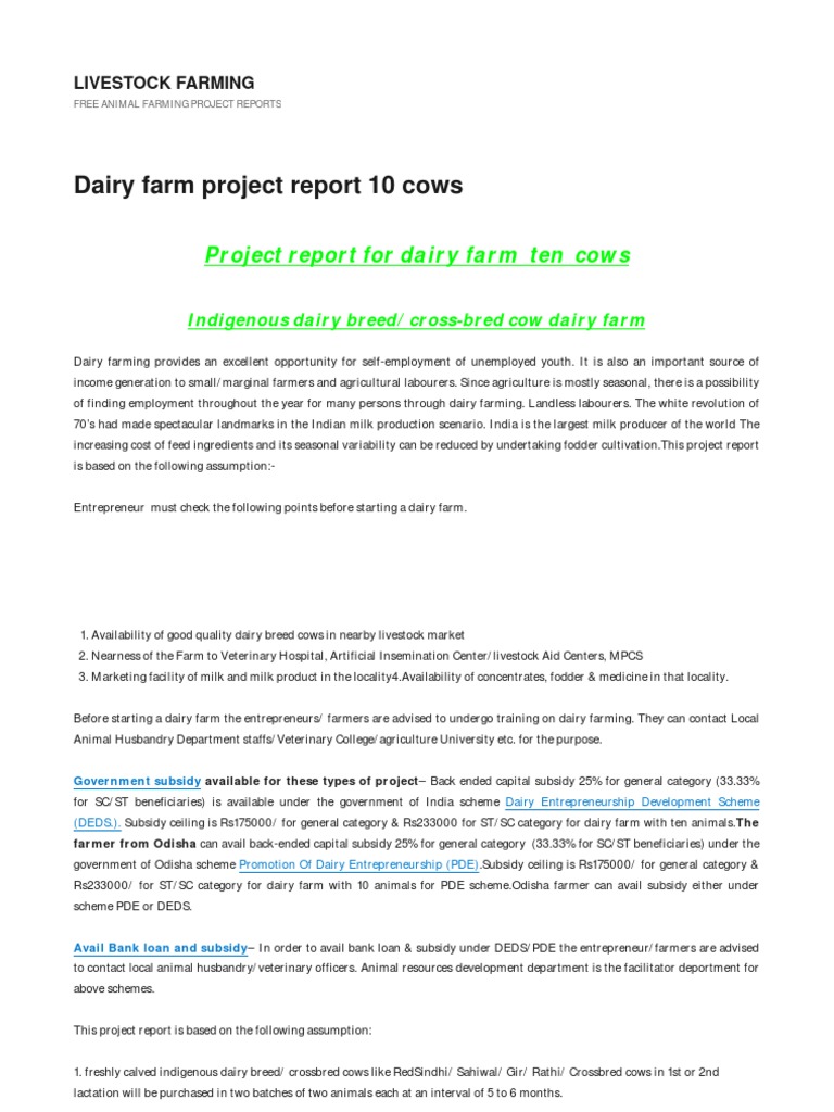 Dairy Farm Project Report Ten Cows, Dairy Farm Business Plan PDF