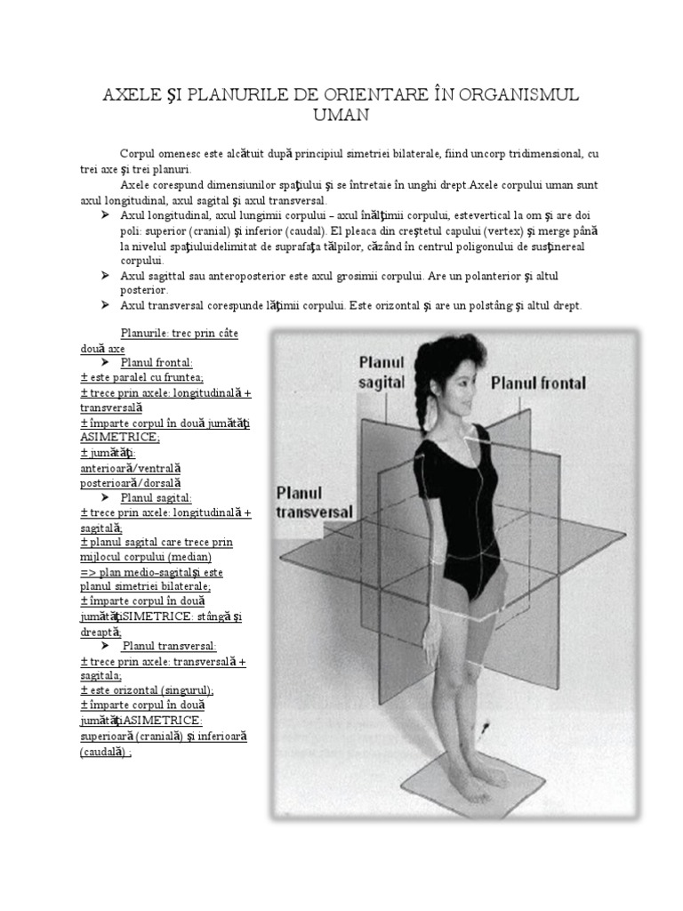 Axele Şi Planurile de Orientare În Organismul Uman | PDF