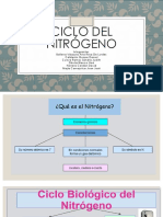 Ciclo Del Nitrógeno