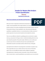 Preparing Samples For Western Blot Analysis: Protein Quantification