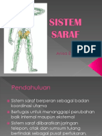 Sistem Saraf