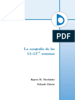 Eco ler trimestre Nicolaides FMF-spanish.pdf