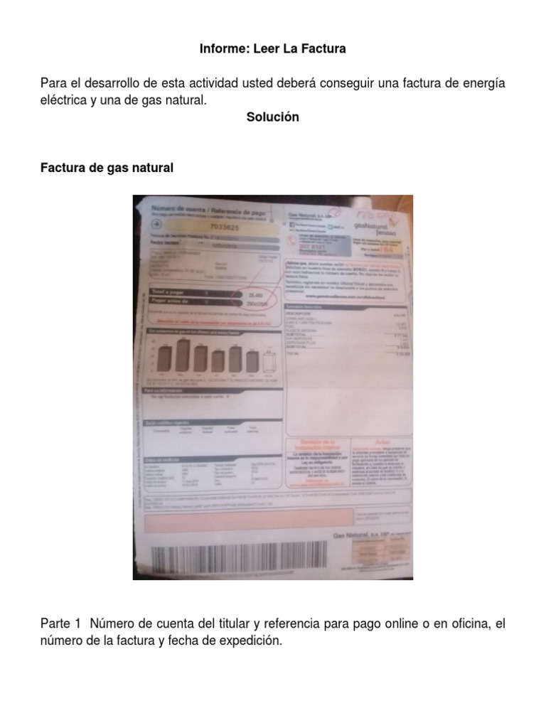 Cómo Leer Facturas de Luz y Gas | PDF | Factura | Gas natural