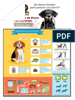 Proyecto COMPUTACION Paseo Mascotas
