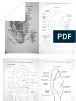 116331818-AURICULOTERAPIA.pdf