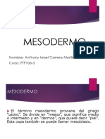 MESODERMO.pptx