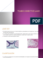 Tejido Conectivo Laxo