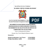 Degradación de Hidrocarburos para La Biorremediación de Suelos en Una Estación de Servicio de Combustible