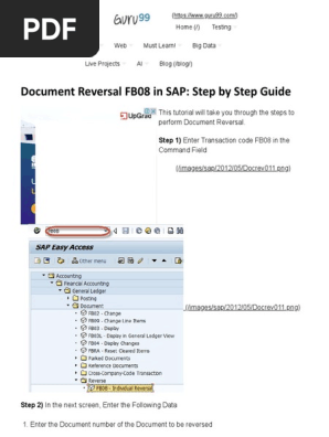 Document Reversal FB08 in SAP_ Step by Step Guide